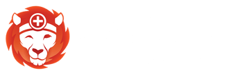 AlfaDocs Academy